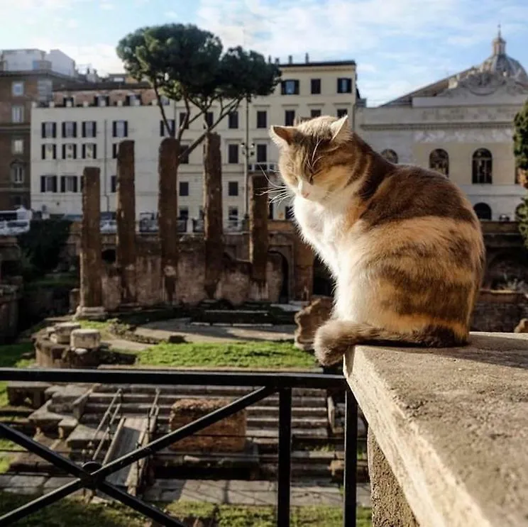 Ancient Roman Mansion 0*, Rome